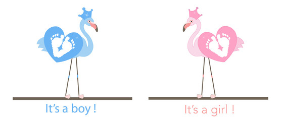 Flamingos. Baby foot prints. Baby gender reveal. Baby girl. Baby boy. Baby shower greeting card background