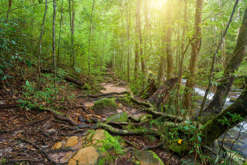 Beautiful landscape of walkway to hiking with waterfall.