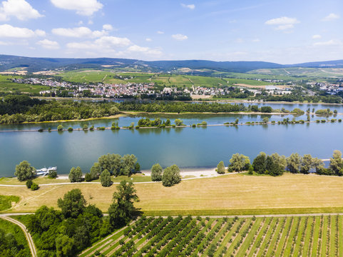 Deutschland, Rheinland-Pfalz. Heidesheim am Rhein , Rhein. Blick &uuml;ber den Rhein auf Erbach