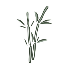 bamboo stems with leaves isolated on white background. Vector Illustration.