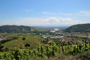 VUE SUR LA VALLÉE DU RHÔNE