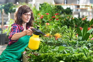 Floristin im Laden besprüht die Zierpflanzen mit Wasser aus einer Pumpflasche