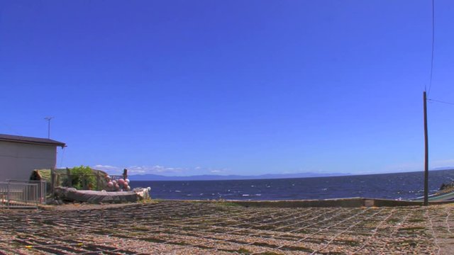 海の日〜光景