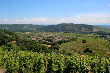 Fototapeta premium VUE SUR LA VALLÉE DU RHÔNE