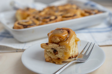 Germschnecken