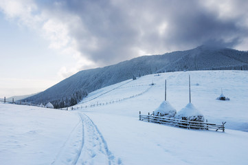 Winter country landscape
