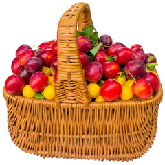 Obraz na płótnie Canvas Basket with cherry plum and plums.