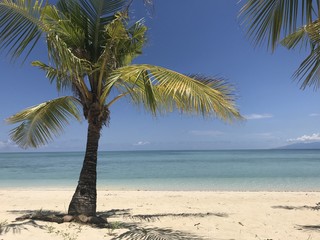 Palm trees on beautiful white sand beach, Modessa Island, Palawan, Philippines