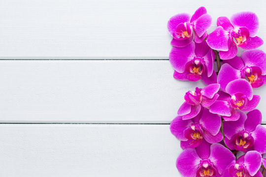 Fototapeta Beauty orchid on a gray background. Spa scene.
