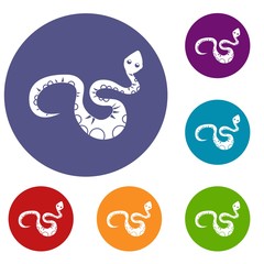 Black snake icons set in flat circle red, blue and green color for web