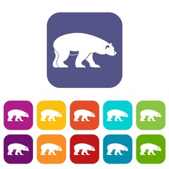 Bear icons set vector illustration in flat style in colors red, blue, green, and other