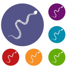 Snake wriggling icons set in flat circle red, blue and green color for web