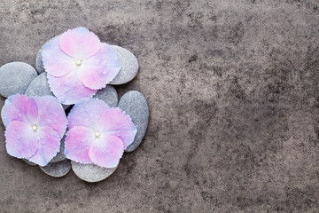 Spa flowers and massage stone, on grey background.