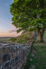 Beautiful landscape image of Sycamore Gap at Hadrian's Wall in Northumberland at sunset with fantastic late Spring light