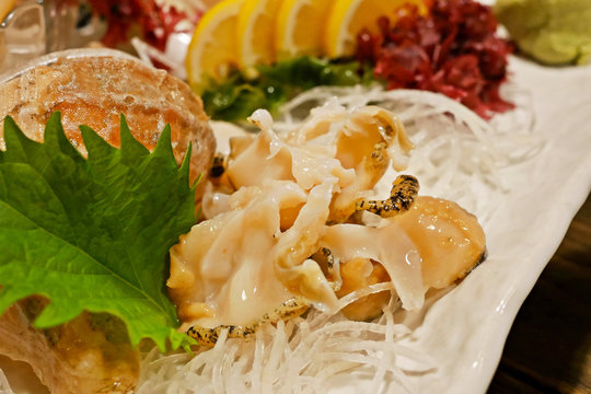 Fresh, raw seashell seafood sashimi:Sazae (horned turban) garnished with Shiso Oba leaves and seaweed and lemon. Close up.