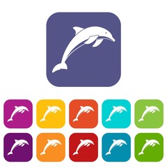 Dolphin icons set vector illustration in flat style in colors red, blue, green, and other