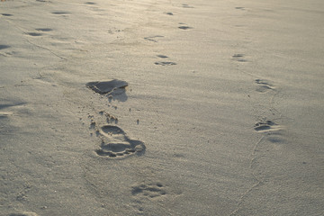 footprints in the sand