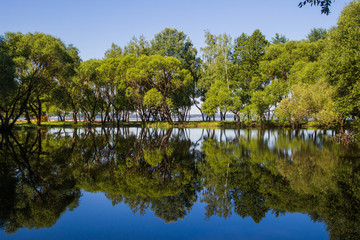 Landscape, bright day. Trees, water, bright sky
