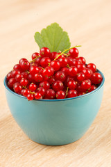 Rote Johannisbeeren in einer blauen Schale