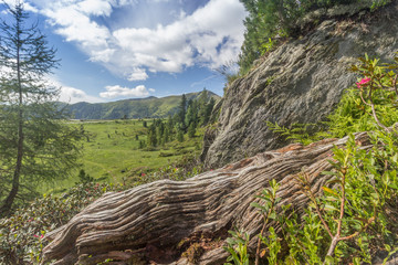 Landschaft in den Nockbergen