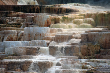 Low Terraces, Mammoth Hot Springs, Yelowstone NP 