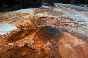 Upper Terraces, Mammoth Hot Springs, Yelowstone NP 