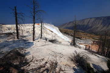 Upper Terraces, Mammoth Hot Springs, Yelowstone NP 