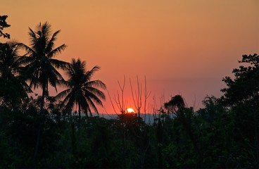 Obraz premium Sunset in mountain and tree silhouette