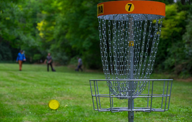 Disc Golf and three players