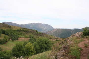 Fototapeta na wymiar Paisaje Montañoso