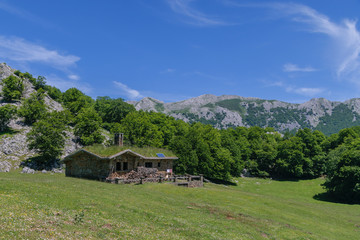 Fototapeta na wymiar house in the green mountain among trees