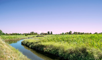 Fototapeta premium Island of Saint Erasmus morning landscape,Italy,29 June 2018,Venetian lagoon, the morning landscape of the vegetation site of the island of Saint Erasmus summer,horizon in pink-blue tones from the eff
