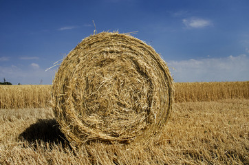 Yellow sheaf of hay on the field and blue sky