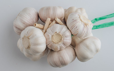 Garlic bulb close up