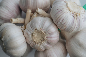 Garlic bulb close up