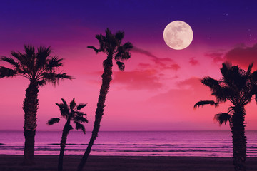 Paysage fantastique tropical avec la pleine lune à la plage