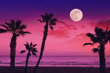 Photo sur Plexiglas Plage et mer Paysage fantastique tropical avec la pleine lune à la plage