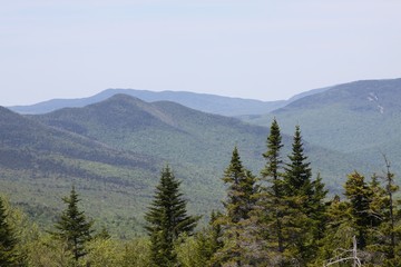 Naklejka premium Mountain range with treetops
