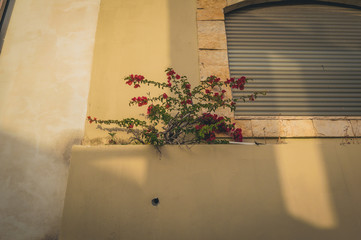 streets of tel-aviv
