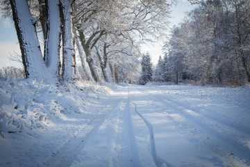 Winterwonderland