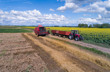 Combine harvester and tractor working in wheat field