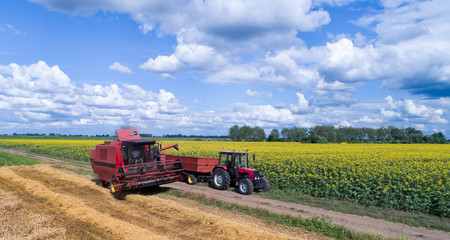 Obraz premium Combine harvester and tractor working in wheat field