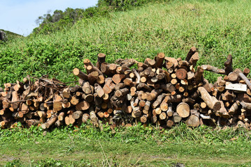 Lenha cortada sobre a grama