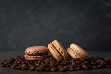 French macaroons on coffee beans