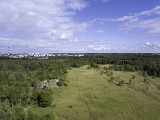 Aerial view of green forest