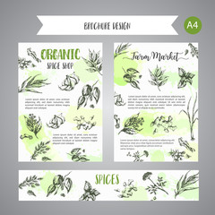 Herbs and spices background. Herb, plant, spice hand drawn set. Organic garden herbs engraving. Botanical sketches. Garlic, ginger, cloves and onion vector