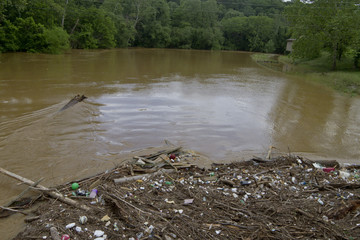 Debris and Human Trash Collect on a River Bank