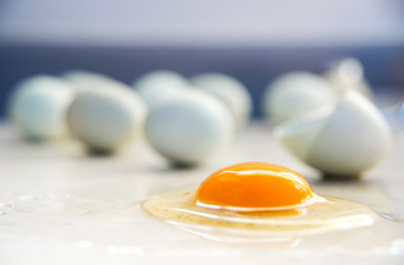 Organic Egg is Being Broken on Smooth Countertop