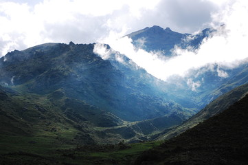 Naklejka premium naturaleza