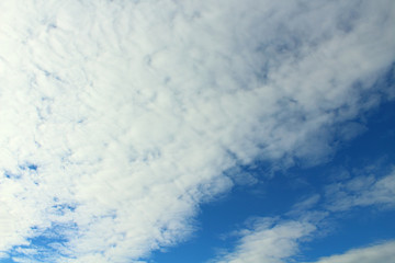 Fototapeta premium Beautiful blue sky and wonderful white cirrus clouds. Background. Landscape. Texture.